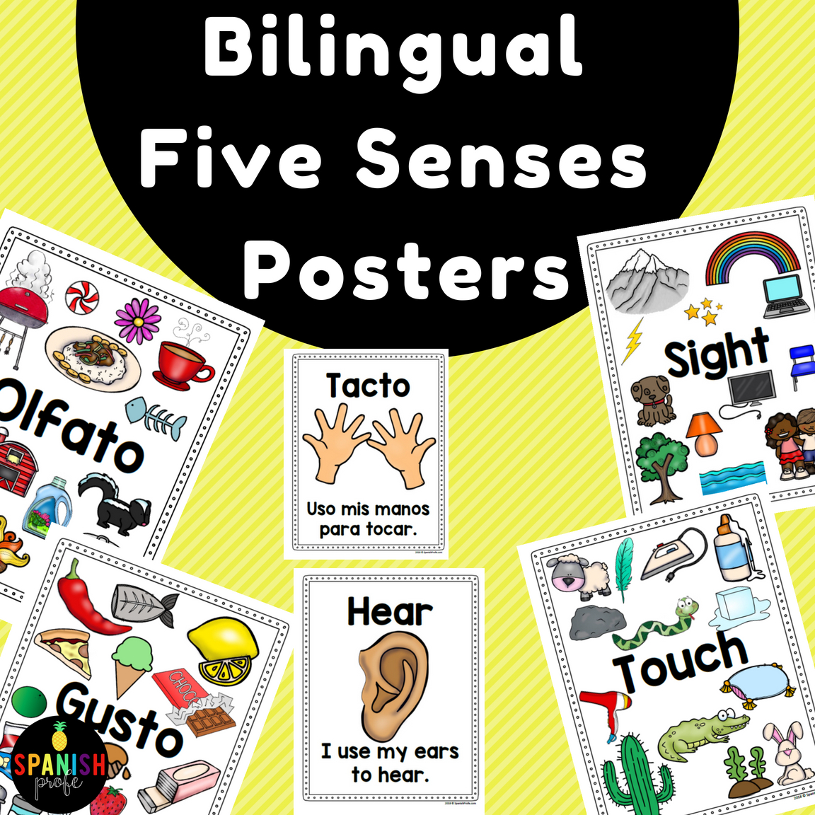 Bilingual Five Senses Posters English Spanish Carteles Cinco 