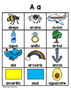 Picture Dictionary in Spanish (Diccionario ilustrado alfabeto ...